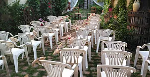 El Sueño de Lucrecia 0022