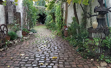 El Sueño de Lucrecia en Villarrubia De Santiago (Toledo) - Foto 23