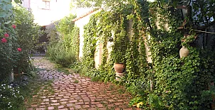 El Sueño de Lucrecia 0012