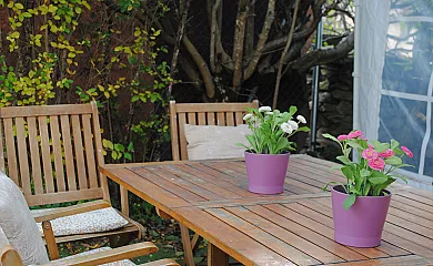 Alojamiento Rural Fuente del Arca Prádena en Pradena Del Rincon (Madrid) - Foto 13