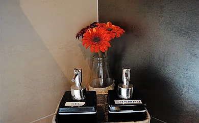 Alojamiento Rural Fuente del Arca Prádena en Pradena Del Rincon (Madrid) - Foto 16