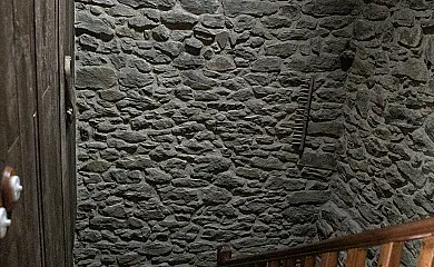 apartamentos rurales el Capricho de Carrio en Pobla de laviana (Asturias) - Foto 2