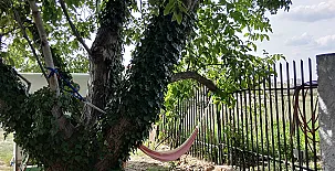 Casa Rural Monte Real 0024