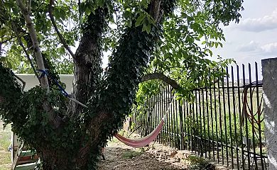 Casa Rural Monte Real en Monreal de Ariza (Zaragoza) - Foto 24