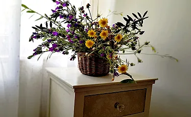 Prado Cruzado en Aracena (Huelva) - Foto 18