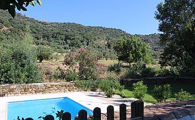 Casas Rurales en la Serranía de Ronda en Benaojan (Málaga) - Foto 11
