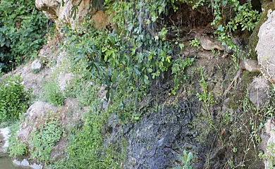Casas Rurales en la Serranía de Ronda en Benaojan (Málaga) - Foto 12