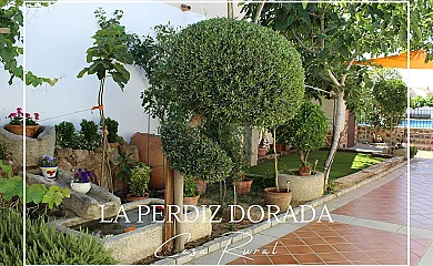 Casa Rural La Perdiz Dorada en Casasbuenas (Toledo) - Foto 11