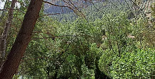 Casa Arroyo Colmenar 0040