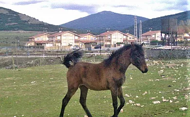 CASA RURAL BUENAVISTA**** en El Espinar (Segovia) - Foto 22