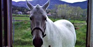 CASA RURAL BUENAVISTA**** 0023