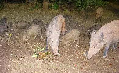 Casa Rural los Jamones en La Iruela (Jaén) - Foto 7