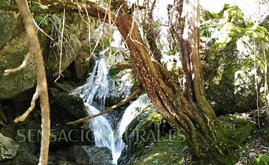 Casa Rural los Jamones en La Iruela (Jaén) - Foto 9