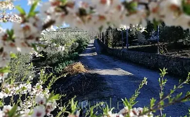 La Pasailla en Castillo de Locubin (Jaén) - Foto 15