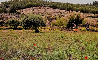 Casas Finca de las Nieves en Cehegin (Murcia) - Foto 12