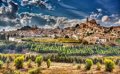 Casas Finca de las Nieves en Cehegin (Murcia) - Foto 17