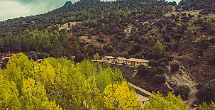 Cabañas Rio Mundo 0028