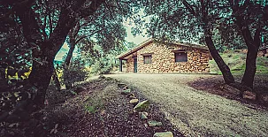 Cabañas Rio Mundo 0032