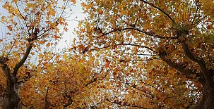 Cabañas Rio Mundo 0062