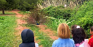 Granja Escuela Atalaya de Alcaraz 002