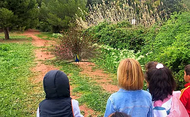 Granja Escuela Atalaya de Alcaraz en Alcaraz (Albacete) - Foto 2