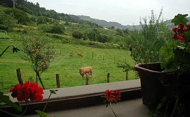 El Madreñeru en Candanal (Asturias) - Foto 18