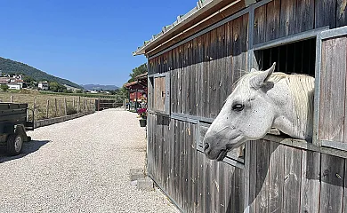 Casa Orgi en Lizaso (Navarra) - Foto 24