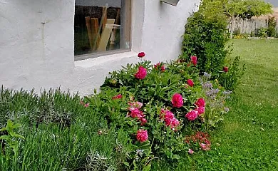 Hotel Rural El Cielo Entejado en Tejado (Soria) - Foto 25