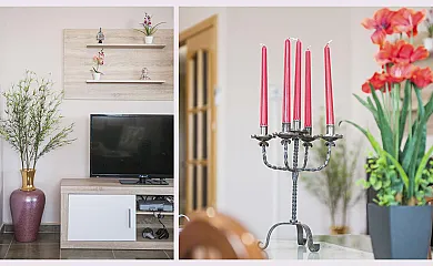 Flor de la Jara en Cobisa (Toledo) - Foto 14