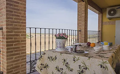 Flor de la Jara en Cobisa (Toledo) - Foto 6