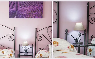 Flor de la Jara en Cobisa (Toledo) - Foto 21