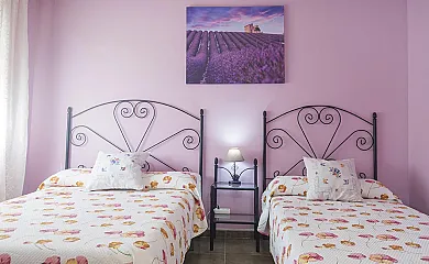 Flor de la Jara en Cobisa (Toledo) - Foto 22