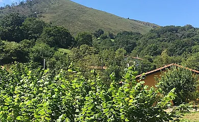 Casa Rural La Galayca en San Vicente de la Barquera (Cantabria) - Foto 21