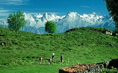 Villa Áurea en Cangas de Onis (Asturias) - Foto 14