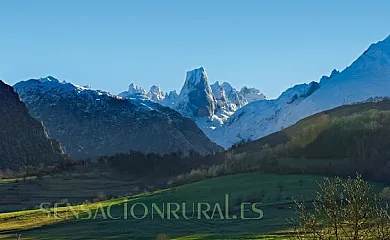 Villa Áurea en Cangas de Onis (Asturias) - Foto 15