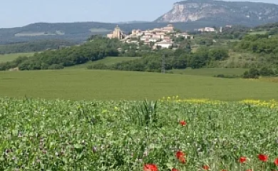 Casa Rural Mendia en Azcona (Navarra) - Foto 12