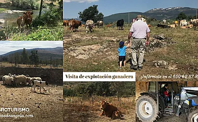 Las Casas de Ángela - Agroturismo Madrid en Lozoyuela (Madrid) - Foto 23