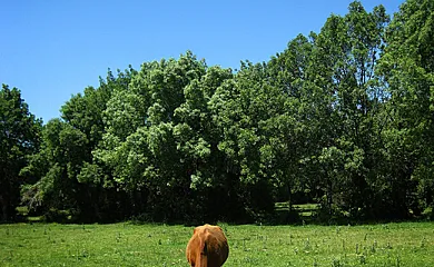 Las Casas de Ángela - Agroturismo Madrid en Lozoyuela (Madrid) - Foto 24