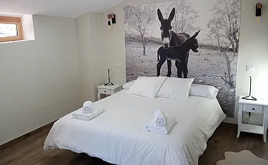 A ritmo de Burro en Robledondo (Madrid) - Foto 13