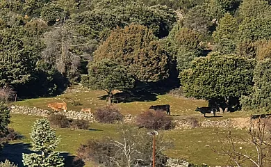 VILLA MARÍN en Santa Maria de la Alameda (Madrid) - Foto 25