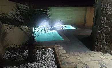 Flor de la Jara en Cobisa (Toledo) - Foto 3