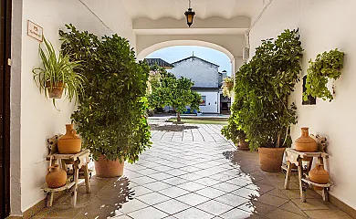 Hacienda Capricho Andaluz en Aguilar de la Frontera (Córdoba) - Foto 2
