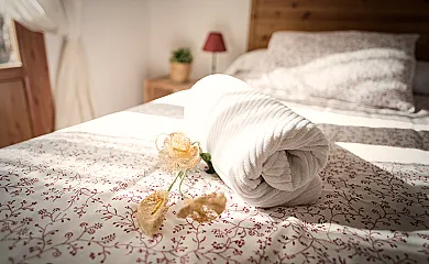 La Alegría de la Alcarria en Torremocha Del Campo (Guadalajara) - Foto 6