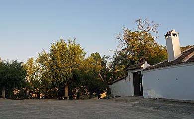 Cortijo La Gineta en Alcalá la Real (Jaén) - Foto 8