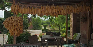 Masía Mas Puig Roig 008