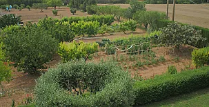 Masía Mas Puig Roig 0010