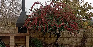 Hotel Rural Colás 004