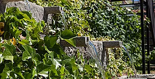 La Majada de Peñacorada 0023