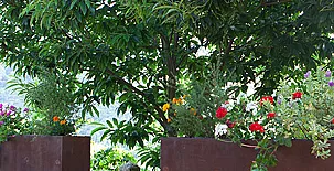 La Majada de Peñacorada 0017