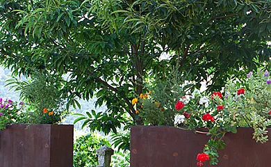 La Majada de Peñacorada en Fuentes de Peñacorada (León) - Foto 17